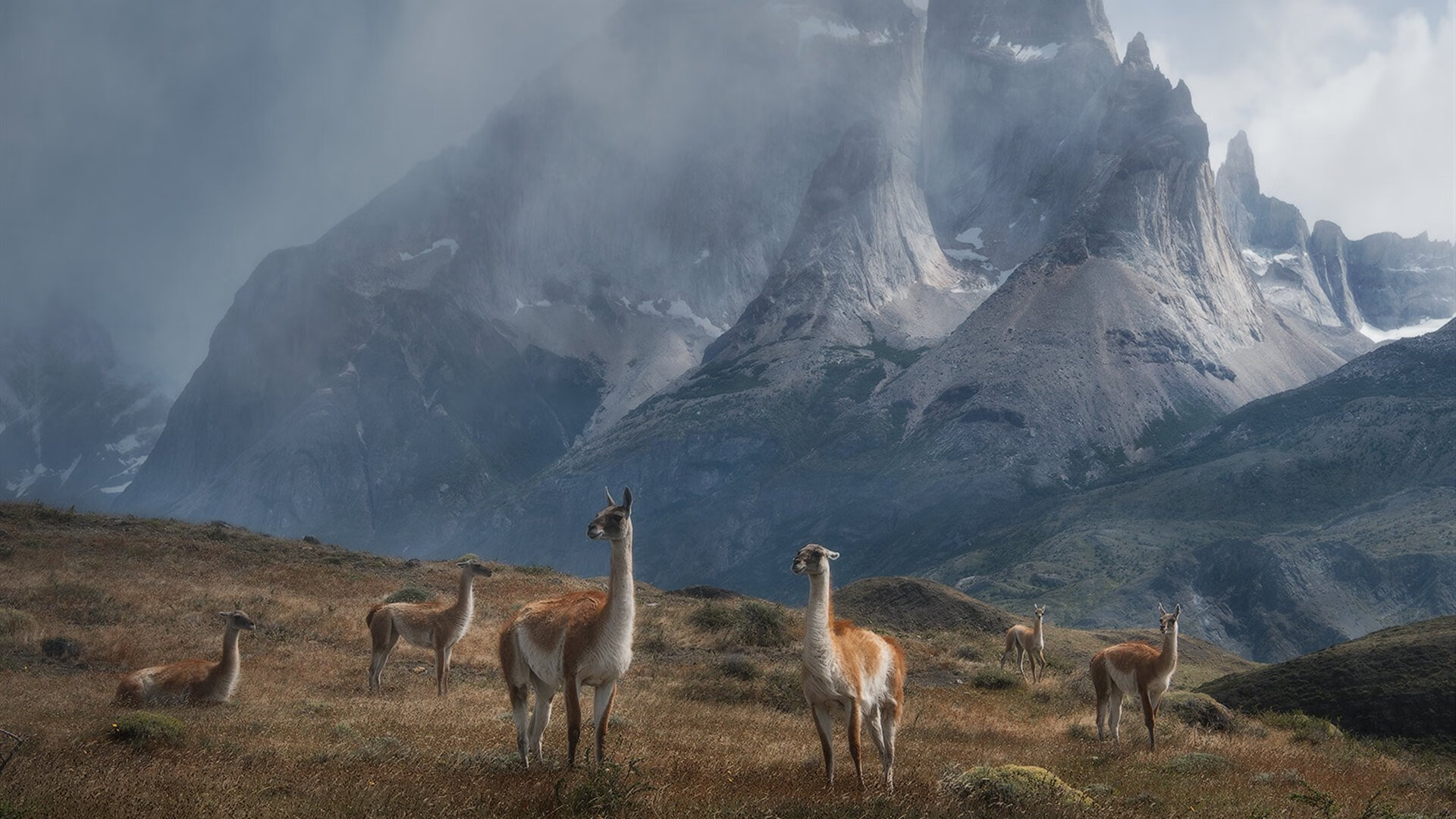 冰封太极虎,马琳的火焰点燃东南亚足球新黎明