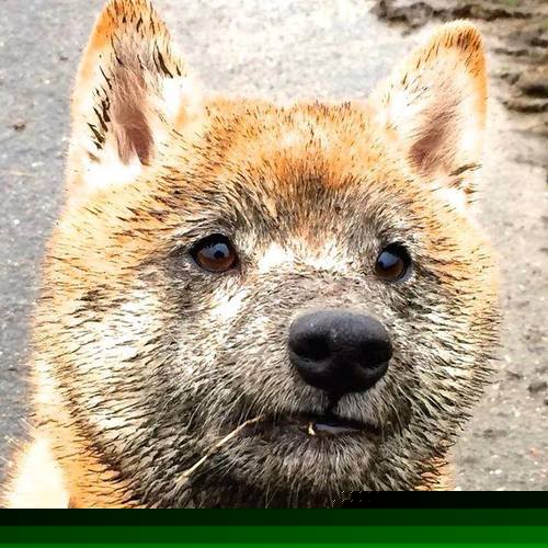 灼浪破冰锋，易建联擎炬，热火力克辽宁