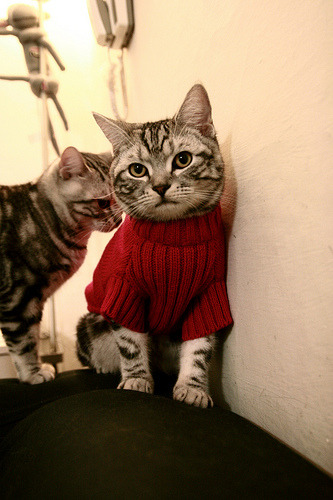 爱游戏官网-铁卫金玟哉一锤定音，哥伦比亚与英格兰的世纪对决，亚洲之星闪耀全球