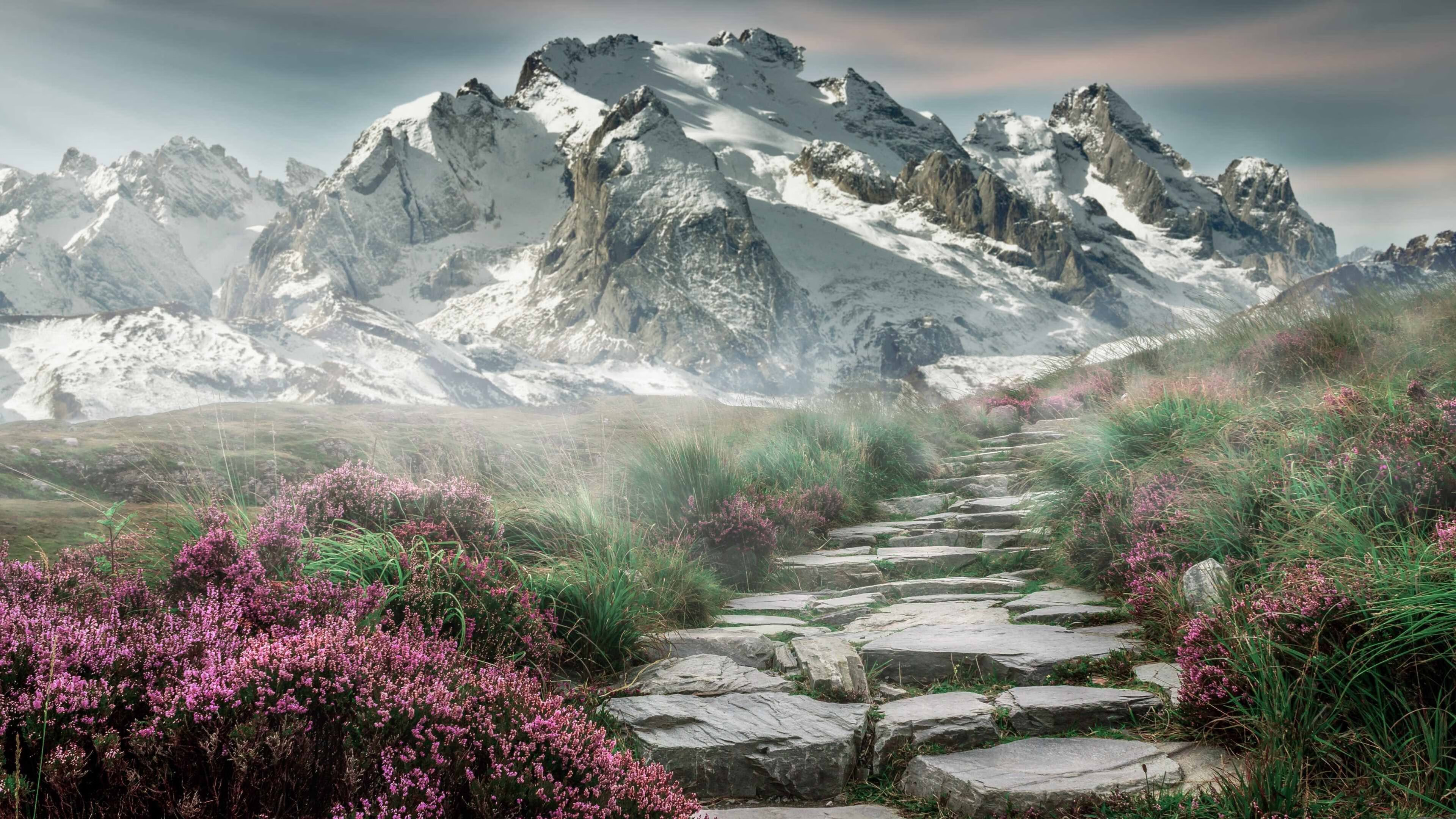 跨越NBA与CBA的极限对位,当北京队的铁血防守遇上火箭队的青春风暴,德罗赞用一记古典中投封存时光