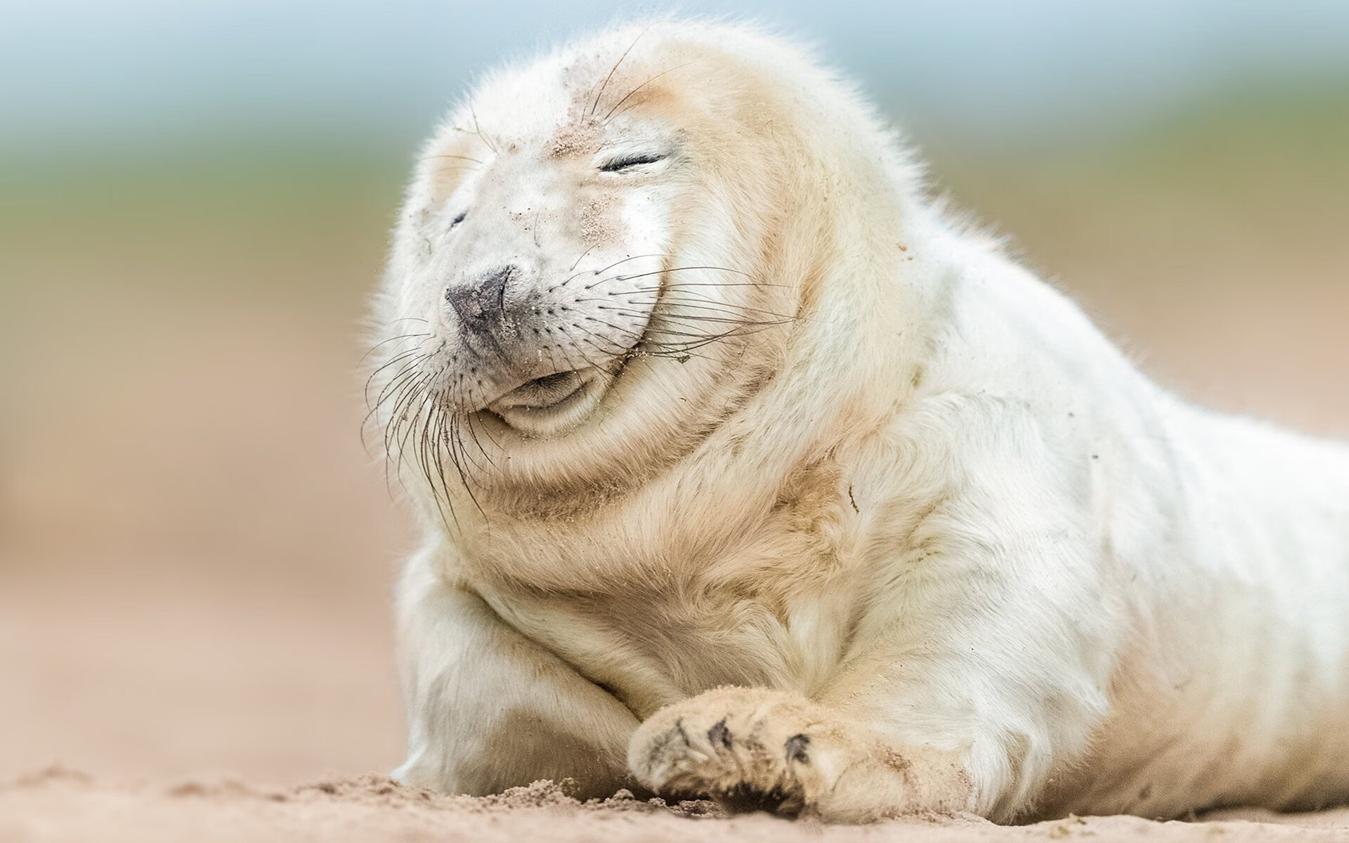 F1速度与篮球激情的碰撞，新赛季揭幕战与深圳队的雷霆之击