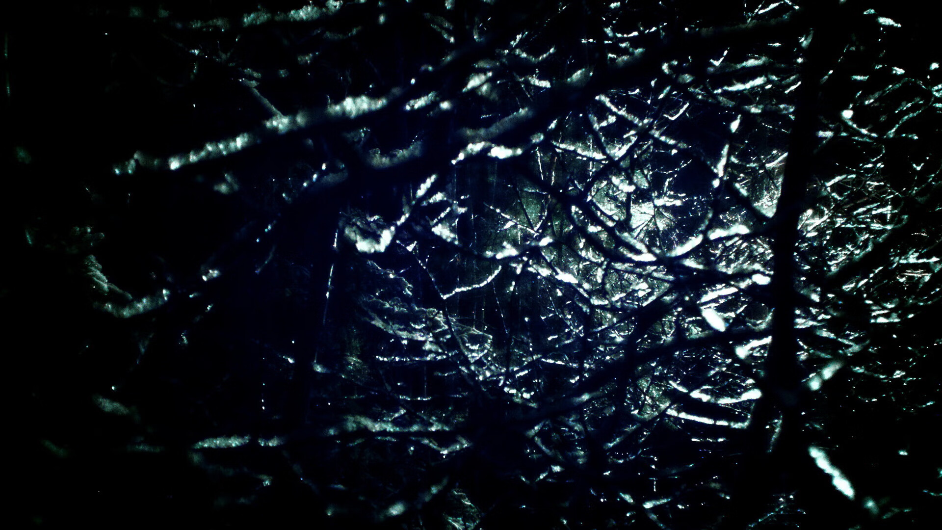 双城记,当鹈鹕用洪水淹没悬念,塔图姆用一剑封喉书写关键