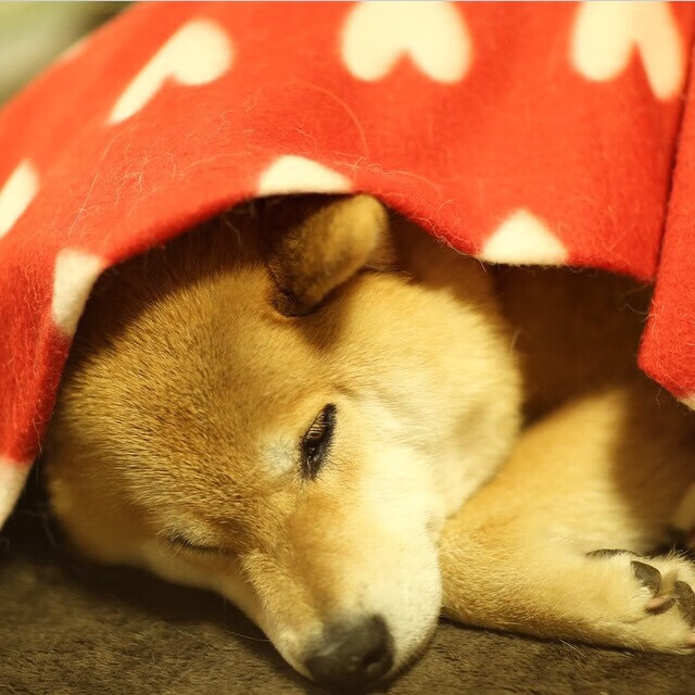 绝杀之后,里程碑背后的唯一性