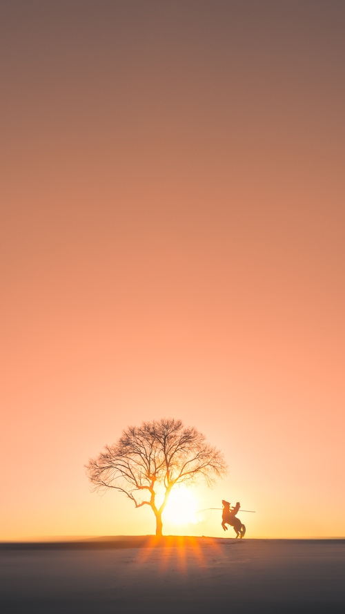 无形枷锁,范弗利特如何用防守美学重塑意甲焦点战