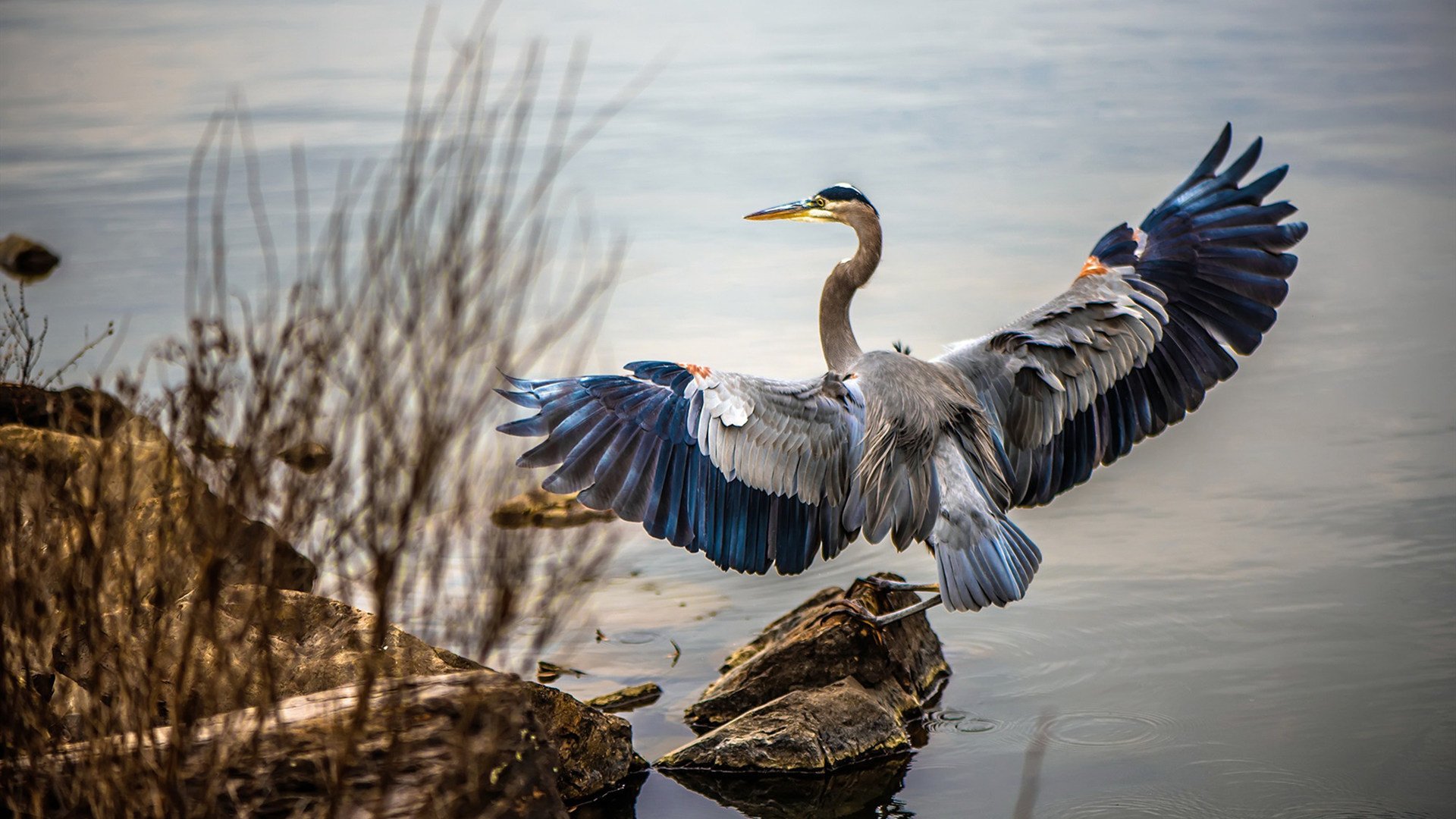 当世界沉迷三分雨时，德罗赞用一记中投写下古典的诗篇