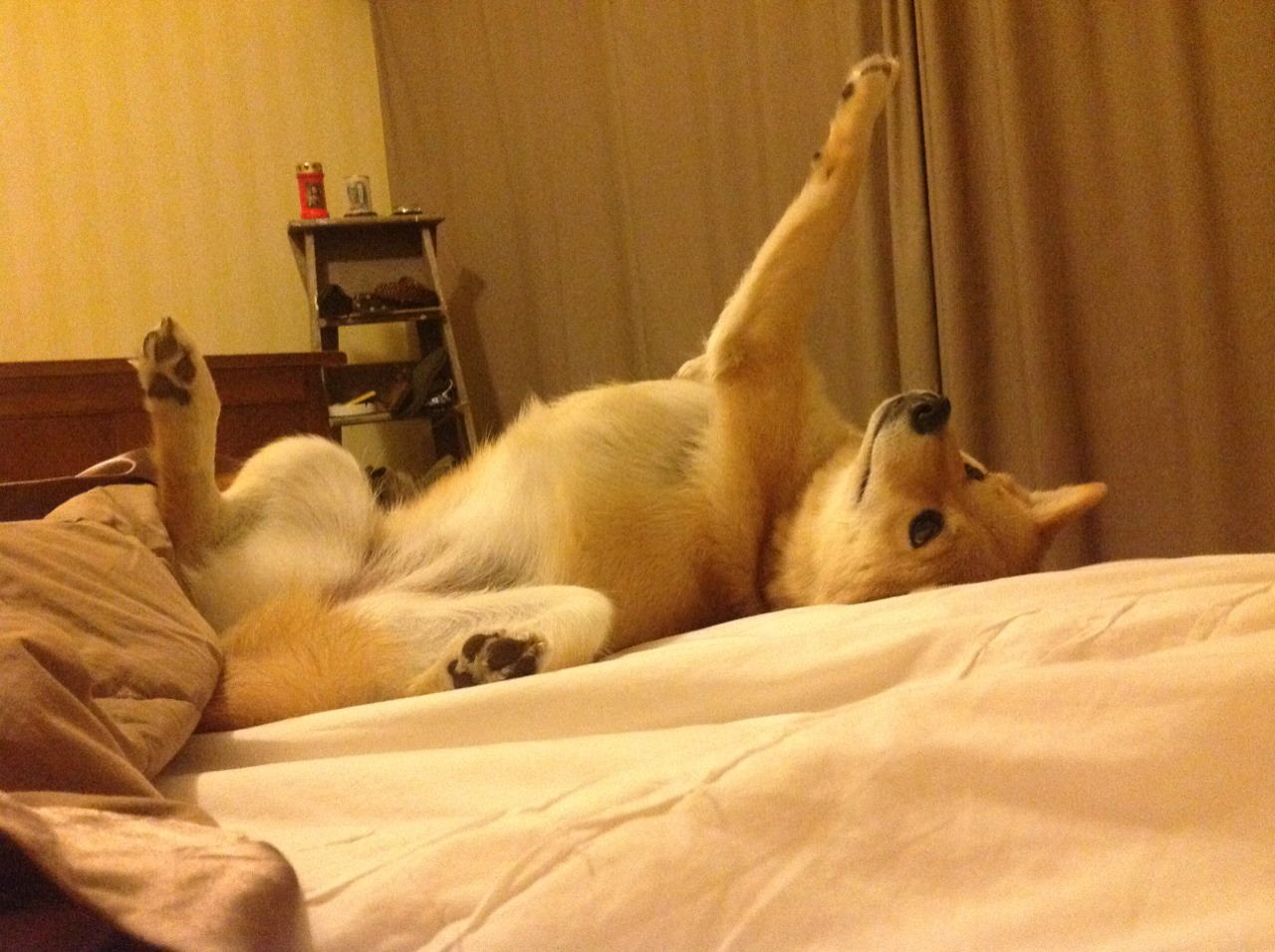 2026世界杯之夜,阿尔瓦雷斯,关键时刻的雕塑家