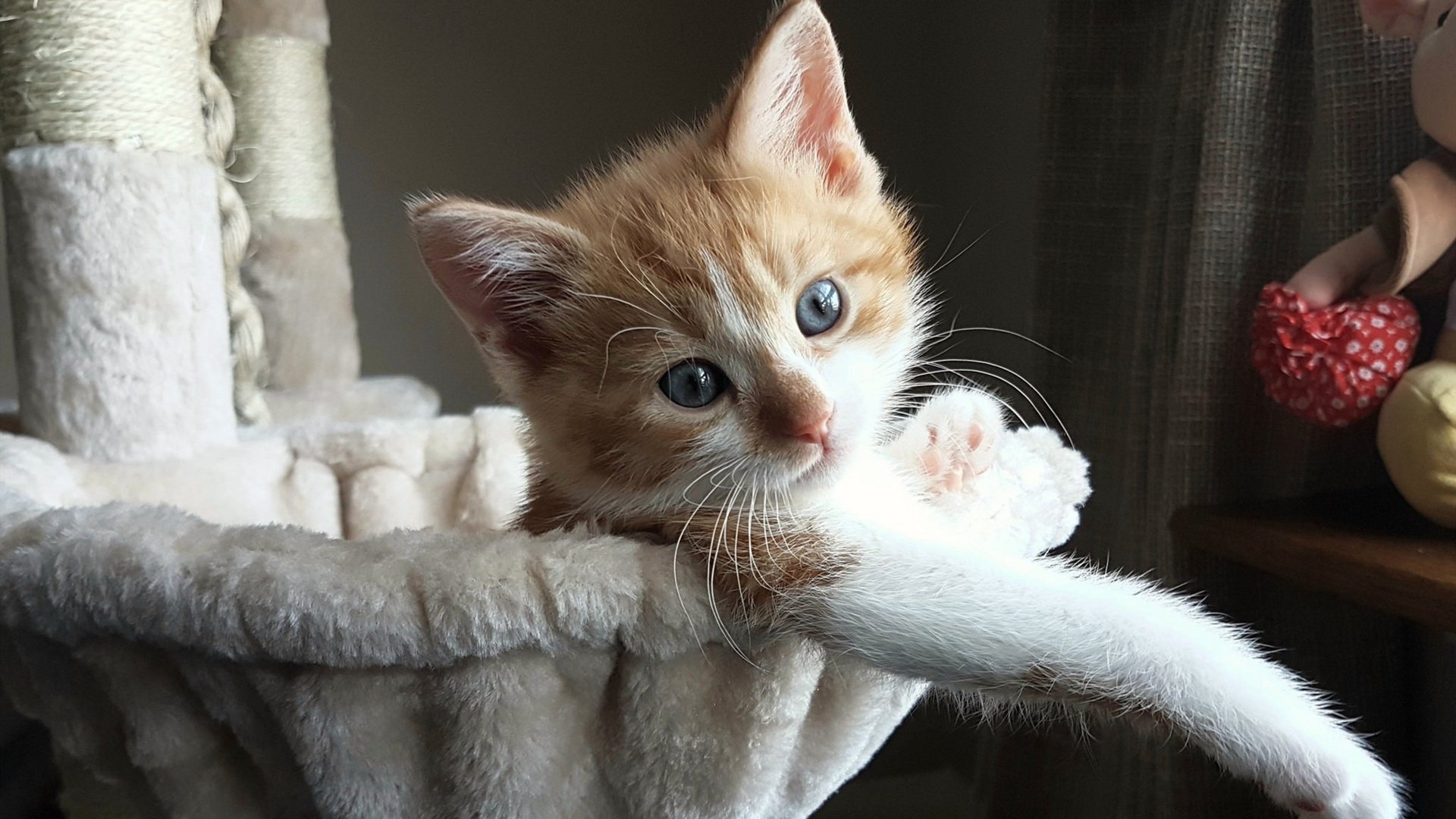 利剑出鞘,锡安关键回合手刃太阳,尼克斯新王证明何为大场面先生