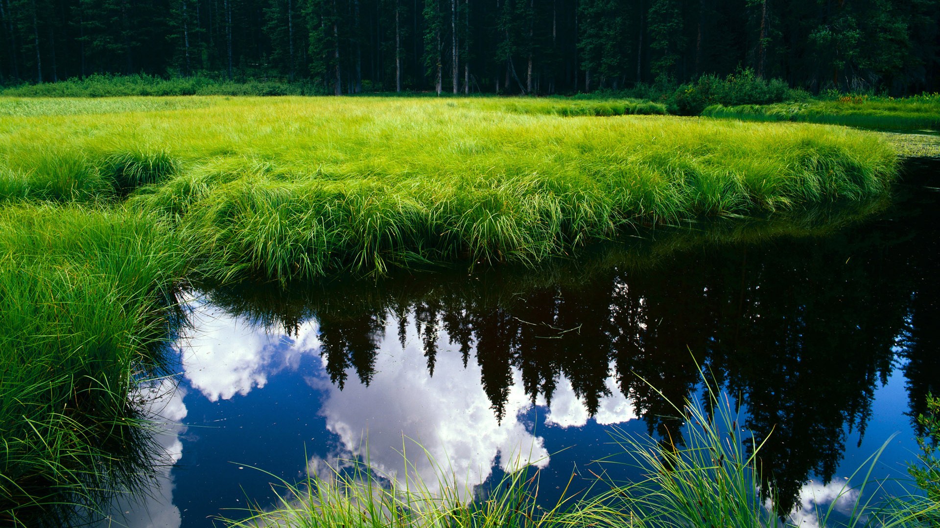 非洲大象啃下硬骨头,奥利维耶37分长矛,刺穿智利铁壁
