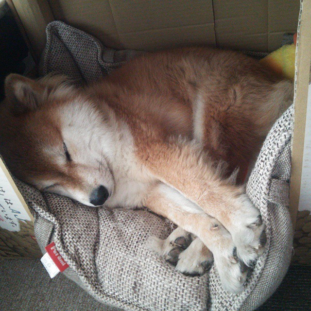 爱游戏体育-戈麦斯之夜，当卡拉沃沃河遇见台伯河