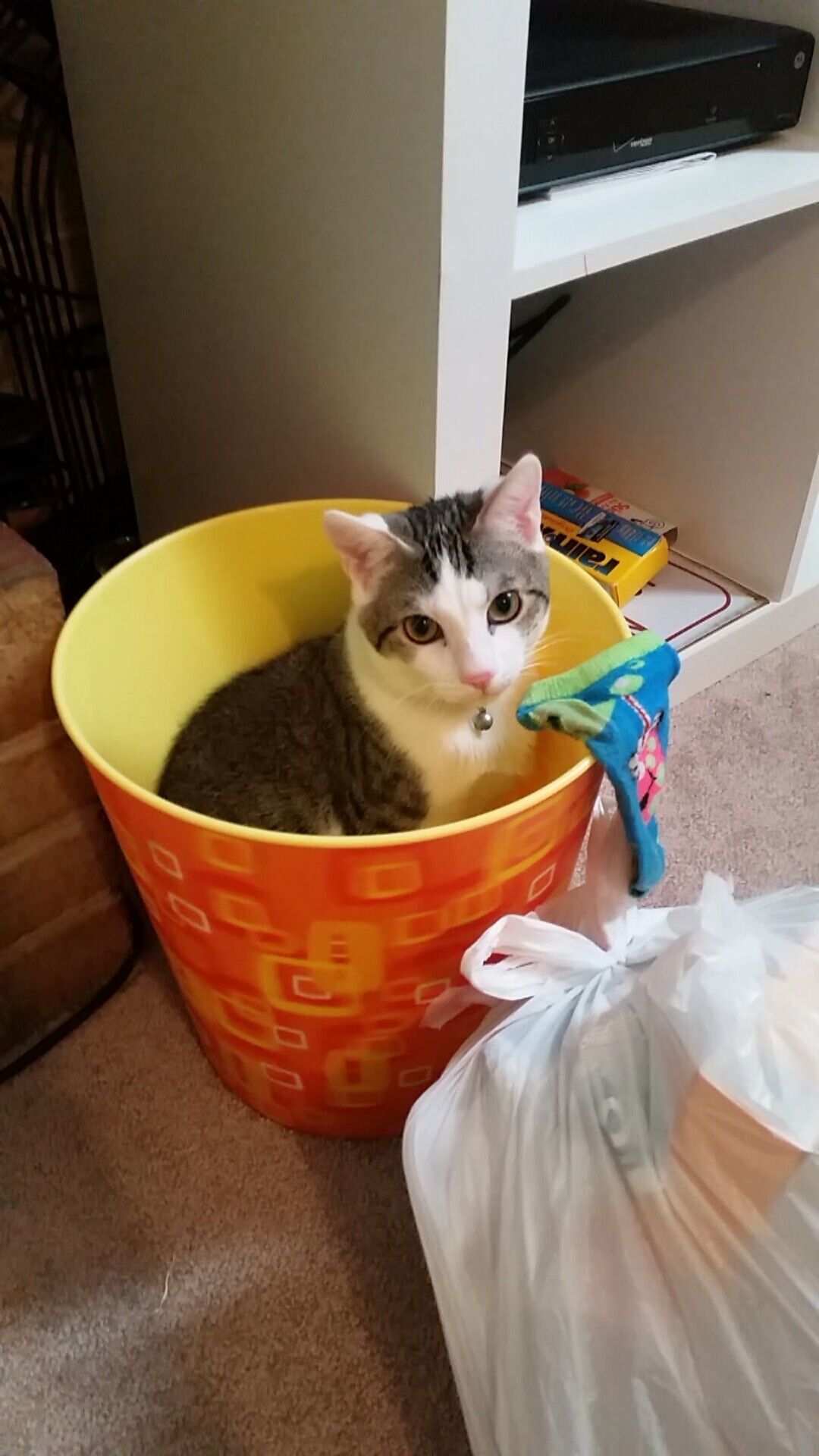 若日尼奥冷箭穿心定乾坤,马里压哨绝杀演绎黑马奇迹