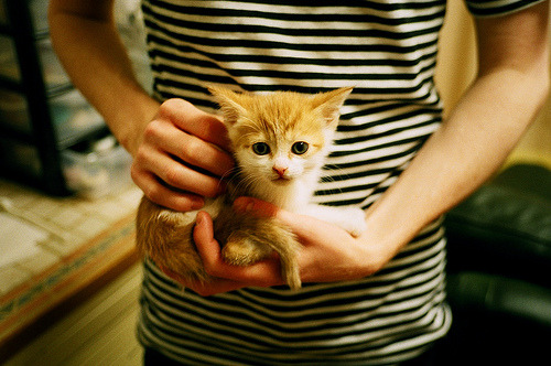 双线辉煌，哥伦比亚连续得分压制阿尔及利亚，萨拉赫在年度焦点之战中独自接管比赛