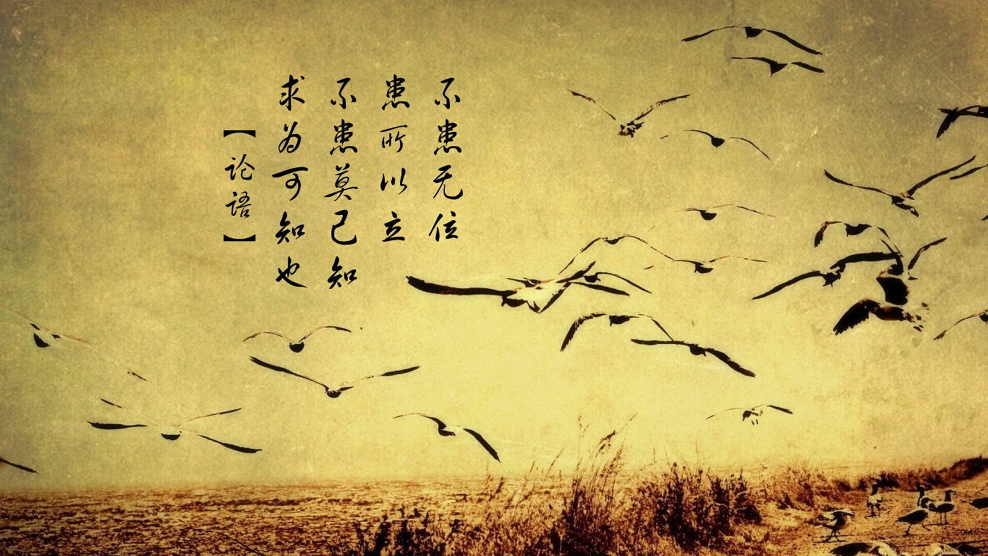 篮球场上的瑞典横扫,当阿什拉夫用足球智慧定义西决生死战