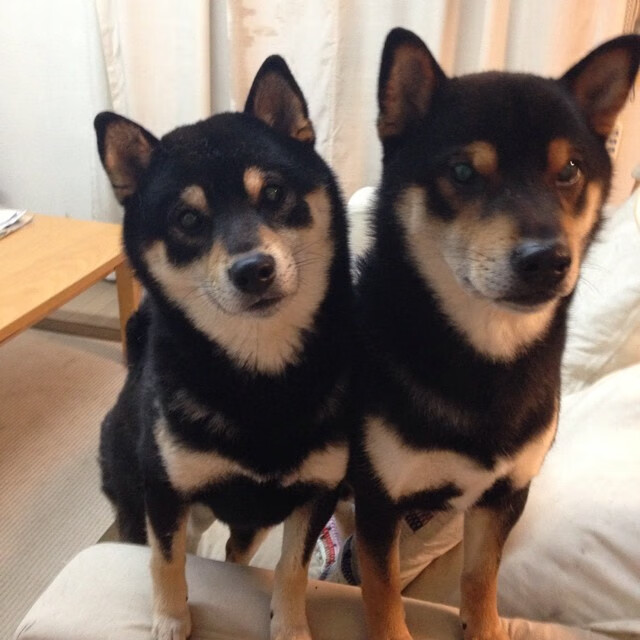 双线狂飙,F1街道赛引擎轰鸣中,英格兰足球险胜多特蒙德