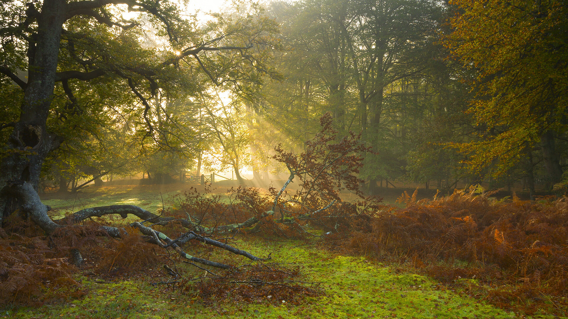 爱游戏tv-一笔误双重悬念，当皮克的名字出现在切尔西的争冠战中