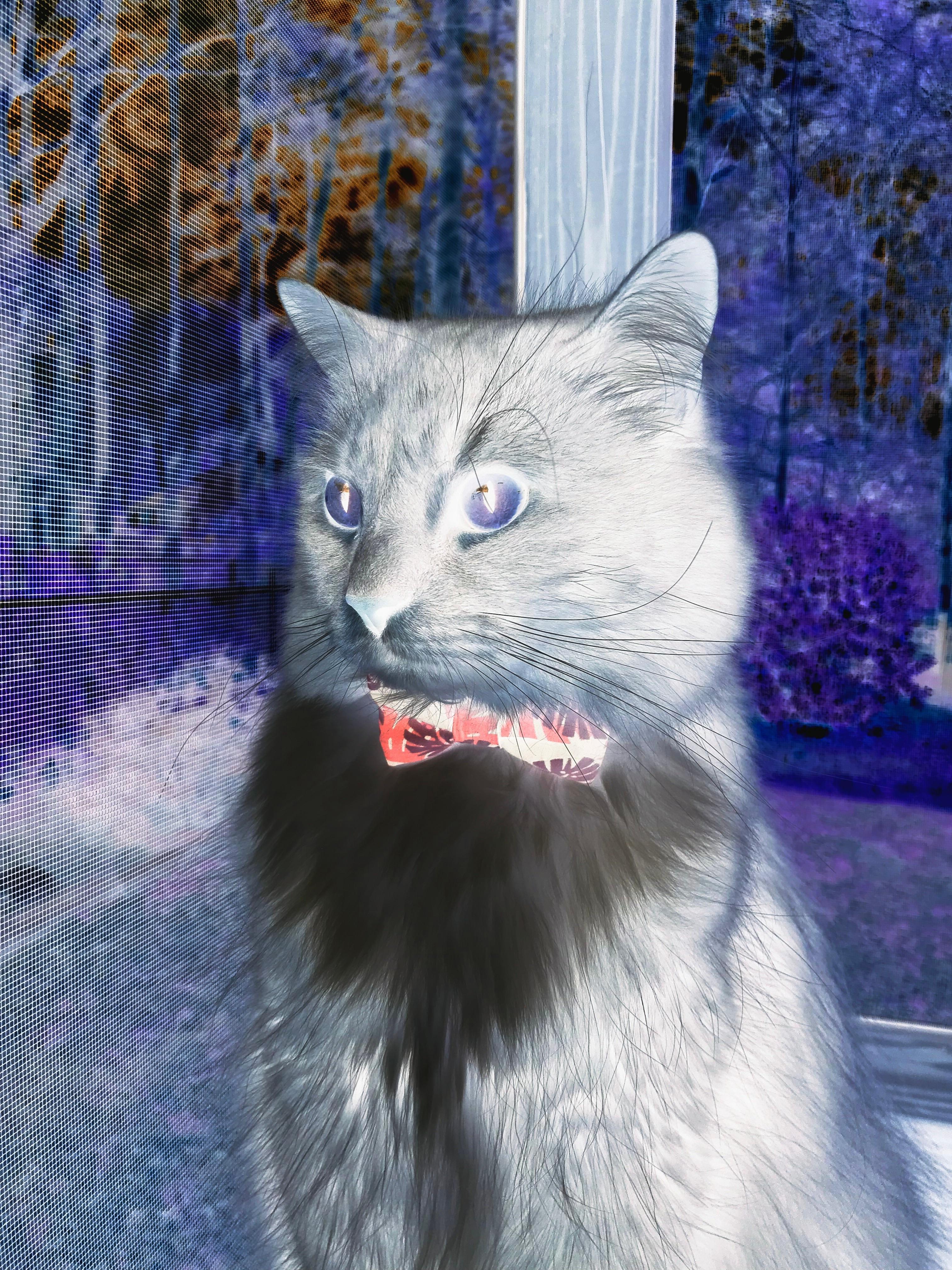 东决生死战，血战印第安纳，新生步行者踏过雄鹿挺进总决赛