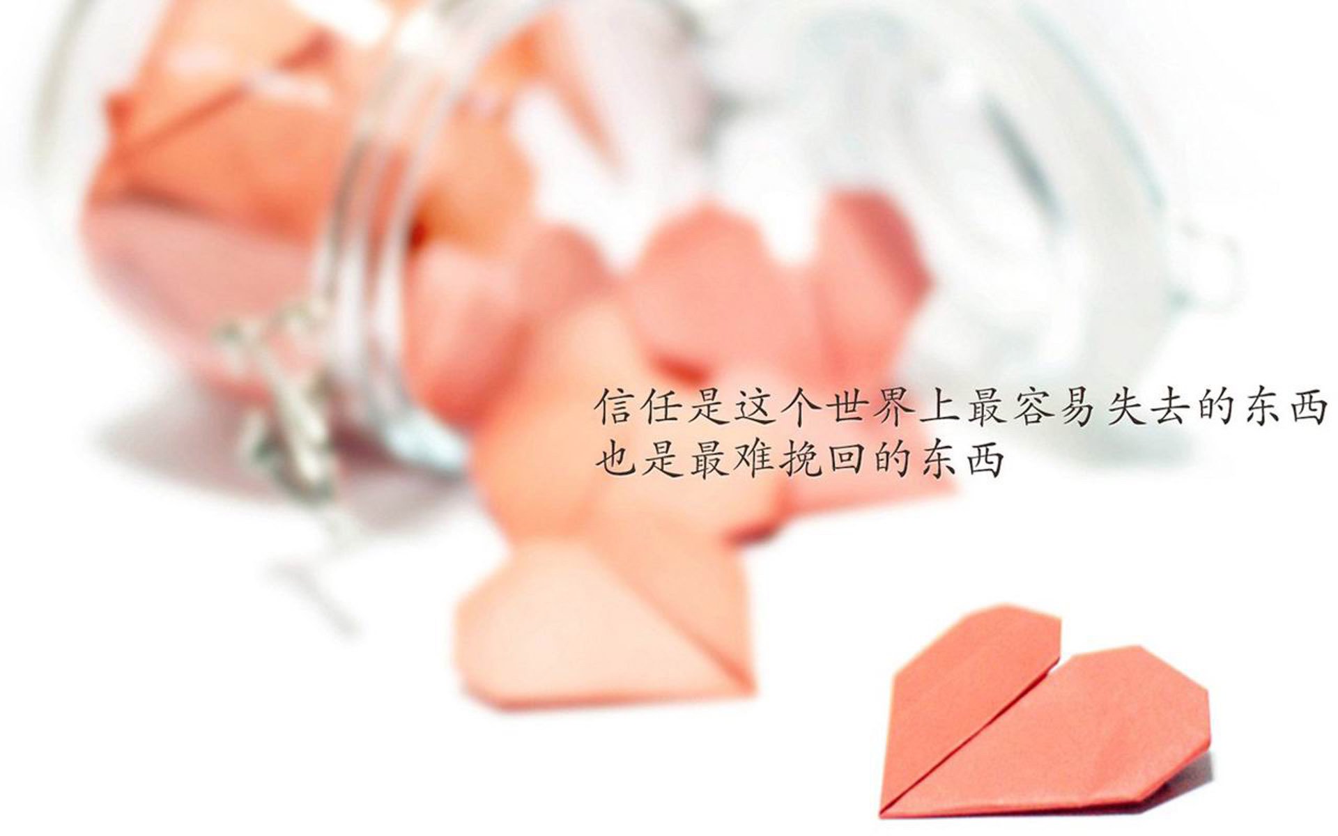 蓝色风暴下的致命一击,2026年D组暗战,维尼修斯的锋芒与荷兰的完美复仇