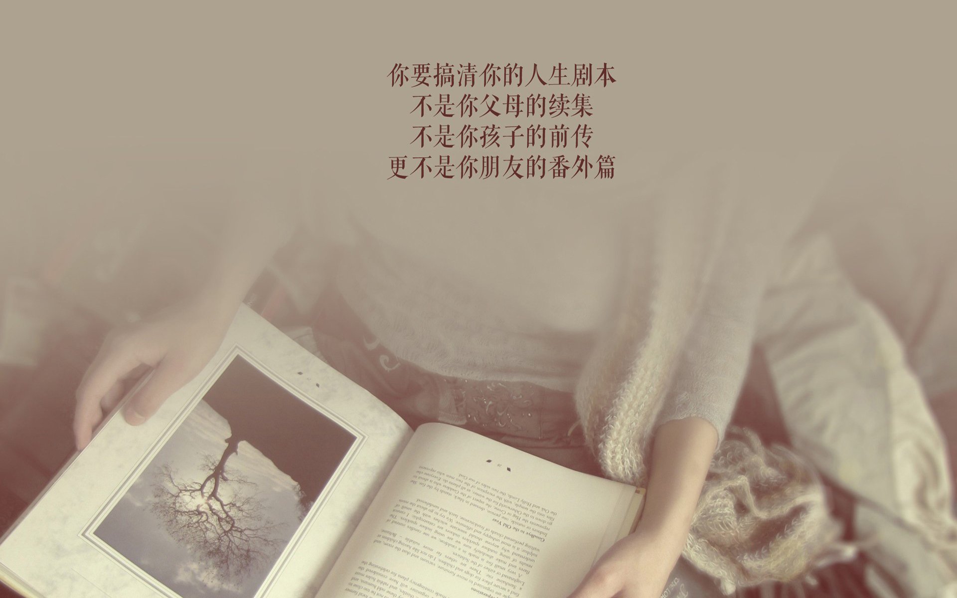 唯一性之战—当斯洛伐克的铁幕撕裂樱花风暴,萨卡用一己之力定义不可复制的夜晚